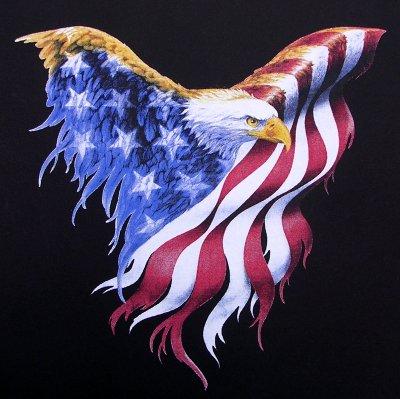 american-flag-bald-eagle[1].jpg